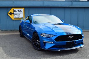 DSC_0042.jpg