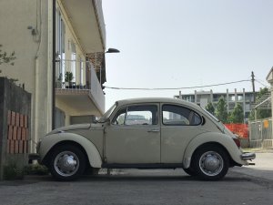 IMG_4748.jpg