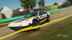 Forza154.jpg