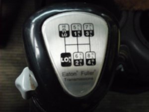 T800B 010.jpg