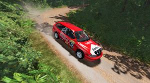 rally2.png