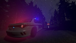 police.jpg