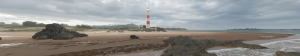 ForzaHorizon44_6_20208_43_29PM.png