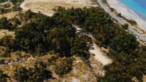 BeamNGdrivex642020-04-0818-14-53.png