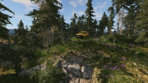 nivaonmountain.jpg