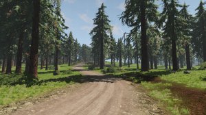 BeamNG2020-04-1618-59-16-79.jpg