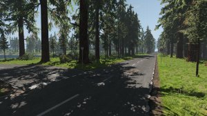 BeamNG2020-04-1619-04-34-80.jpg