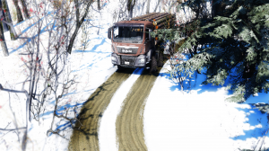 BeamNGdrivex642020-04-1720-48-14.png