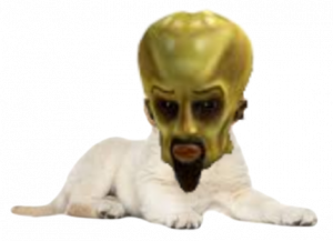 Untitled.png