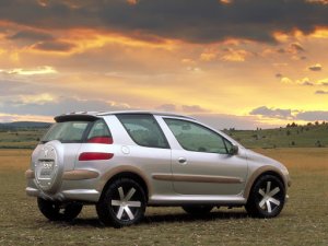 206suv.jpg
