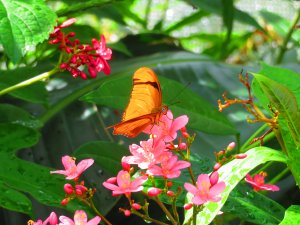 IMG_5022.jpg