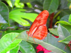 IMG_5028.jpg