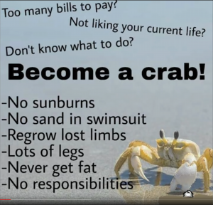 crab.png