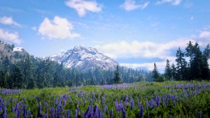 1707F828-DF8B-4A49-B0D0-702C9D54C664.jpeg