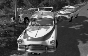 1956-1.png