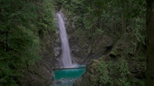 DSC01017.jpg