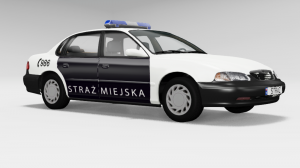 straz_miejska.png