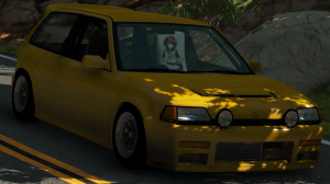 BeamNGdriveScreenshot20200531-00172957.png