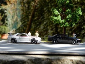 DSCN6219.jpg