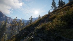 cotw76.jpg
