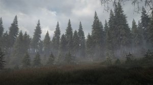 cotw79.jpg