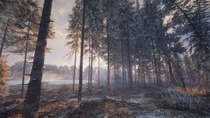 cotw101.jpg