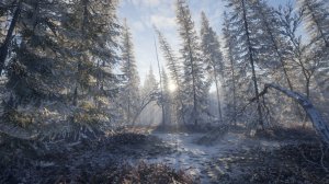 cotw102.jpg