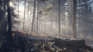 cotw108.jpg