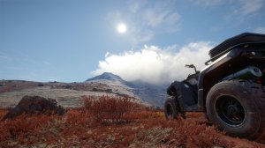 cotw116.jpg