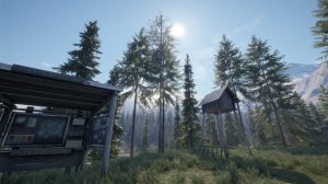 cotw117.jpg