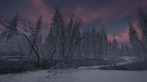 cotw122.jpg