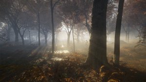 cotw131.jpg