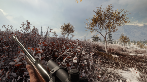 cotw1.png