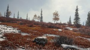 cotw70.jpg