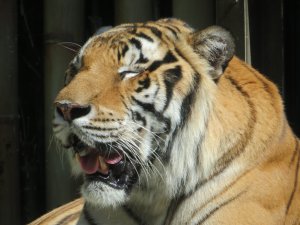 IMG_8487.jpg