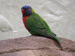 IMG_8434.jpg