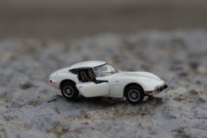 IMG_8931.jpg