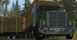 screenshot_2020-06-23_16-56-40.png