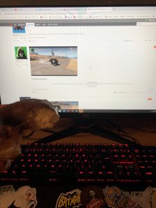 EcICJSUX0AEftxx.jpg