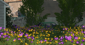 screenshot_2020-07-26_12-45-10.png