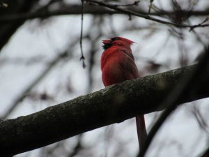 IMG_3391.jpg