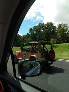 IMG_20200808_114406683.jpg