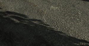 screenshot_2020-08-12_20-27-08.png