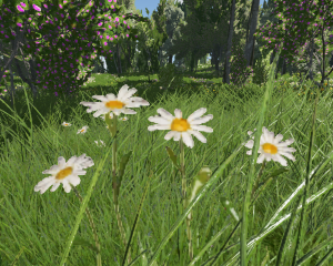 screenshot_2020-08-13_17-39-12.png