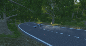 stairway mountain forest.png