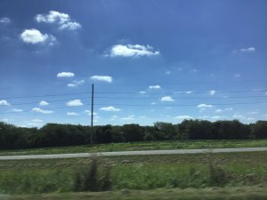 4C96C9F0-2FE7-493E-B812-F477C1B2DDB9.jpeg