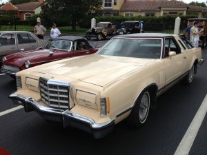 used-ford-thunderbird-1979-66018327_1_l.jpg