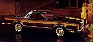 tbird1977tlprofiledarkbrown.jpg