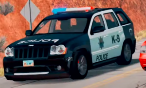 apli1.png