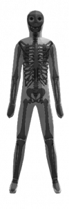 skeletonandbody.png